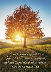 Postkarten: Gottes Segen umgebe dich 12 Stück Postkarten: Gottes Segen umgebe dich 12 Stück