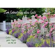 Postkarten: Zum Geburtstag alles Gute, 4 Stück Postkarten: Zum Geburtstag alles Gute, 4 Stück