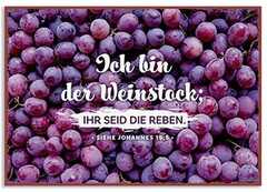 Metallschild klein - Weinstock Metallschild klein - Weinstock
