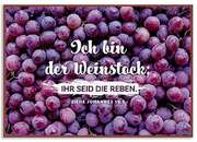 Metallschild klein - Weinstock Metallschild klein - Weinstock