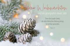 Faltkarte "Frohe Weihnachten" - Titus 2,11