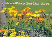Kleinkärtchenserie Mohn, 12 Stück Kleinkärtchenserie Mohn, 12 Stück