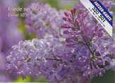 Postkarten Frühlingsblumen, 6 Stück