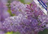 Postkarten Frühlingsblumen, 6 Stück Postkarten Frühlingsblumen, 6 Stück