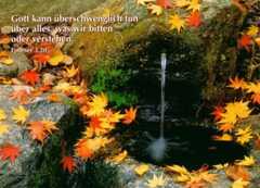 Postkarten Herbstidyll, 6 Stück