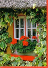Faltkarten Fenster, 5 Stück Faltkarten Fenster, 5 Stück