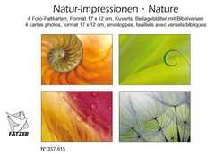 Faltkartenbox Natur-Impressionen, 4 Stück