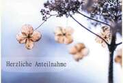 Herzliche Anteilnahme - Faltkarte Herzliche Anteilnahme - Faltkarte