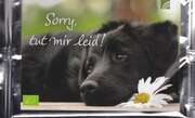 Tee-Postkarte - Sorry, tut mir leid! Tee-Postkarte - Sorry, tut mir leid!
