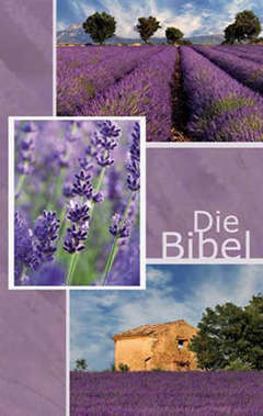 Die Bibel - Motiv Lavendel