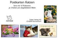 Postkartenserie Kätzchen, 12 Stück